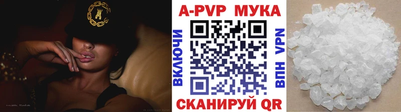 A PVP СК  Майкоп 