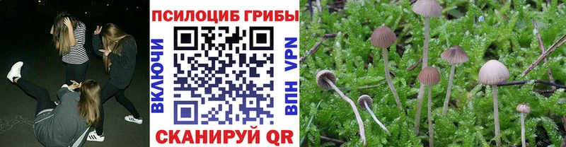 Галлюциногенные грибы ЛСД  мориарти формула  Майкоп 